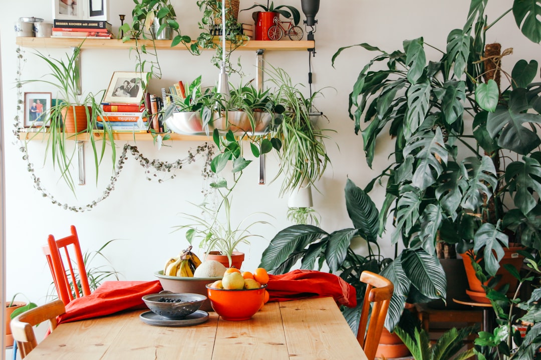 Zero-Waste Packaging Solutions